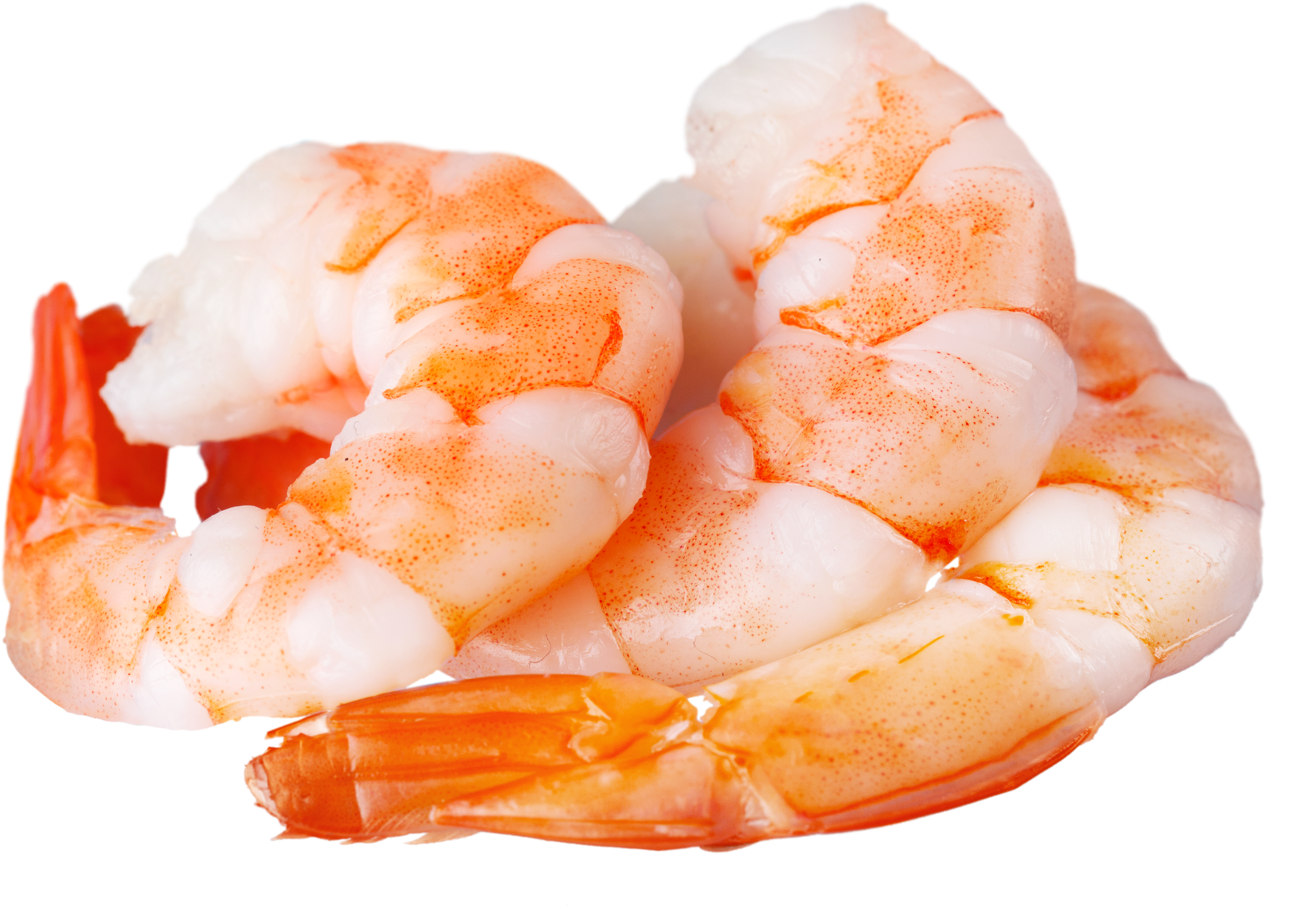Shrimp.